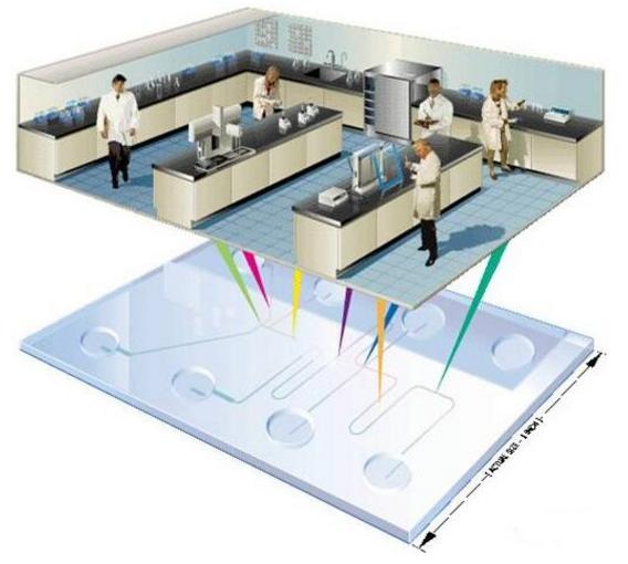微流控芯片实验室示意图