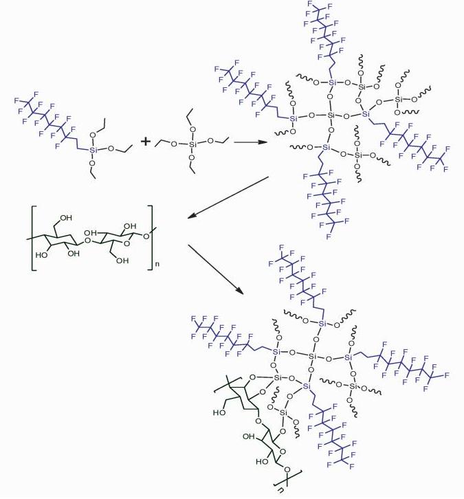 全氟辛基二氧化硅溶胶液的制备及利用其进行滤纸疏水化修饰的反应原理