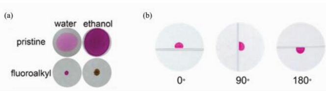 (a)染料水溶液和乙醇溶液分别滴加到原始滤纸上和全氟辛基二氧化硅修饰的滤纸上，及(b)水滴在不同旋转角度全氟辛基二氧化硅修饰的滤纸表面上的照片