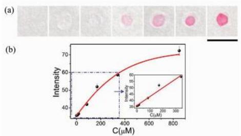 Ni(Ⅱ)离子的定性可视化检测(a)及定量分析(b)