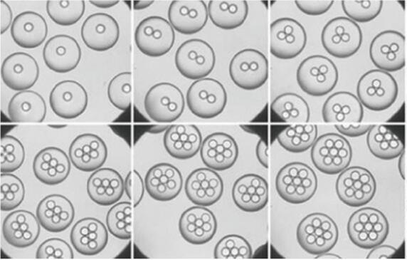 汶颢股份微流控液滴技术