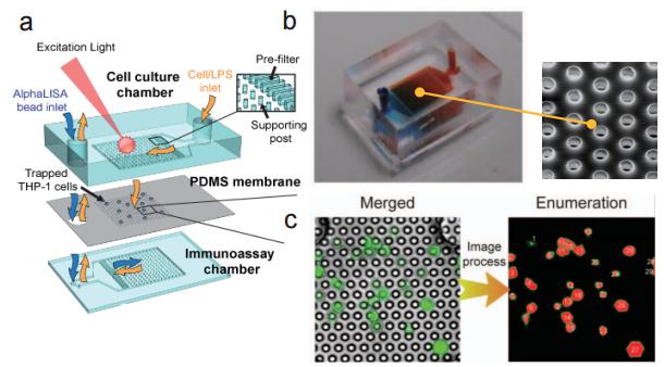 多孔洞结微过滤薄膜之微流控芯片 (a) 流流控芯片示意图 (b) 实际微流控芯片照片及使用电子扫描显微镜（SEM）所拍摄之微过滤薄膜孔径图 (c) 使用分析软体进行细胞计数示意图