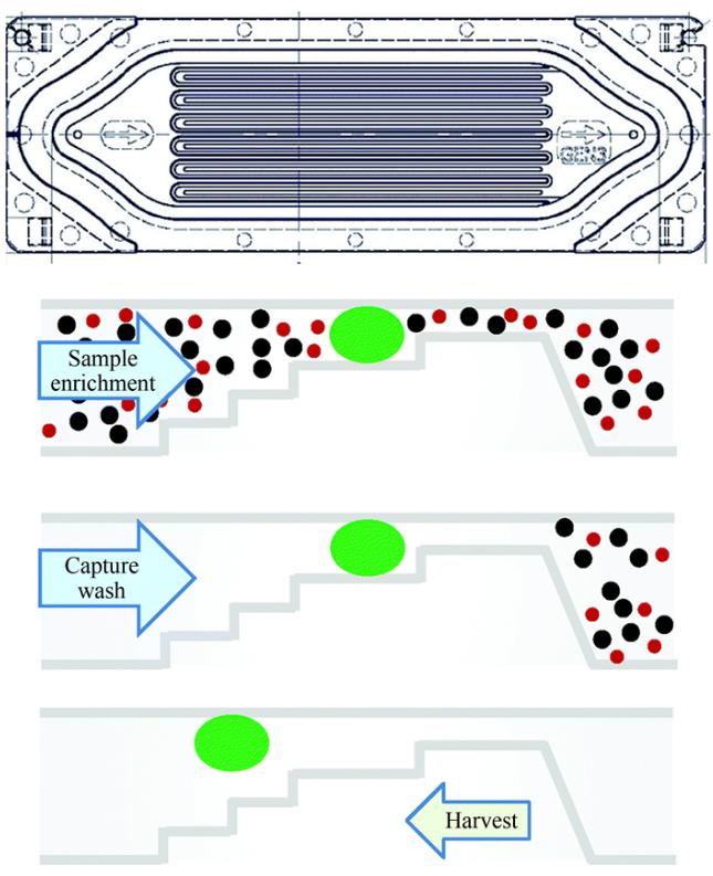 一次性Parsortix盒整体及截面结构示意图