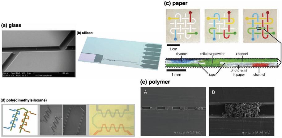 玻璃、PDMS、纸、硅、PMMA材质芯片示范图对比