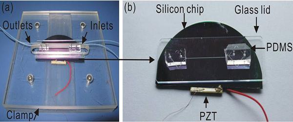微流控芯片流体的控制与驱动效果示意图