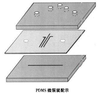 微流体PDMS芯片流体控制设备微泵装配示意图