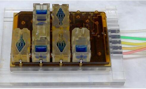 EVATAR是一款口袋大小的女性生殖系统模型，血样流体（蓝色）将流经含有微型器官的孔