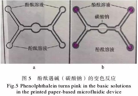 为了验证纸包装与纸基微流控芯片的整合技术，在纸盒的4个体板上分别制作了4个微流控芯片，该纸基芯片在pH值检测中的应用示例见图5。