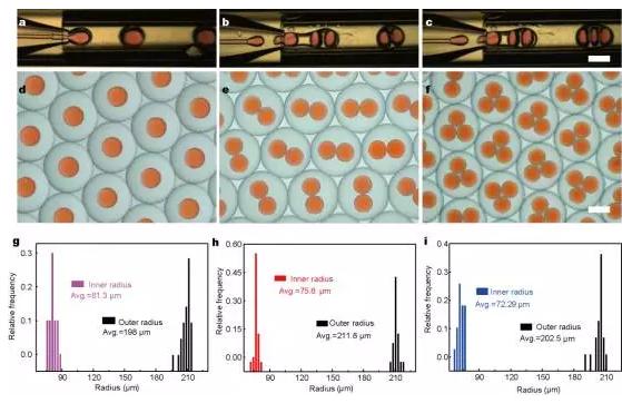 使用微流控装置得到不同尺寸和结构的微胶囊