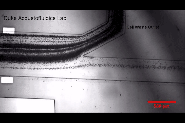 声波取外泌体诊断癌症技术