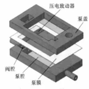 有阀压电微泵爆炸图