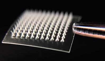 纳米颗粒微针贴片