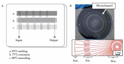 图2  蛇形通道型 PCR芯片:(A) 平行通道 PCR芯片，(B) 辐射通道 PCR芯片