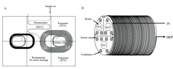 图3  螺旋通道型 PCR装置: ( A) 平面螺旋通道 PCR 装置，( B) 圆柱螺旋通道 PCR装置