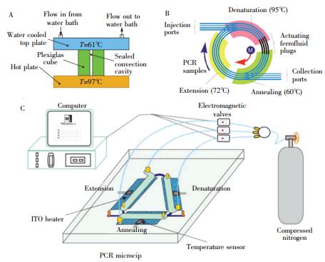图5   闭环型 PCR设备: (A) 雷诺-贝纳尔对流驱动式闭环 PCR 装置; (B) 磁流体驱动式闭环 PCR装置;(C) 压力驱动式闭环 PCR 装置