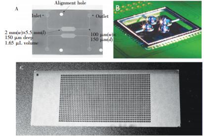  微池型 PCR芯片: (A) 单反应池 PCR芯片，(B) 液滴虚拟微池 PCR芯片， (C) 微池阵列 PCR芯片