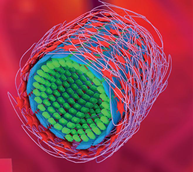降解过程中保持形状稳定的自适应多层管状聚合物血管支架