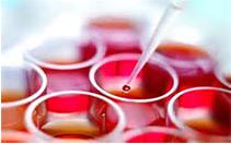 纳米技术芯片或可一次性修复受伤组织 纳米技术芯片或可一次性修复受伤组织