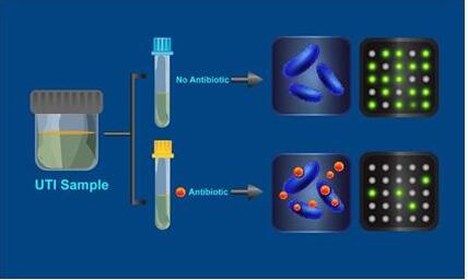微流控芯片在化学和生物医学检测的应用