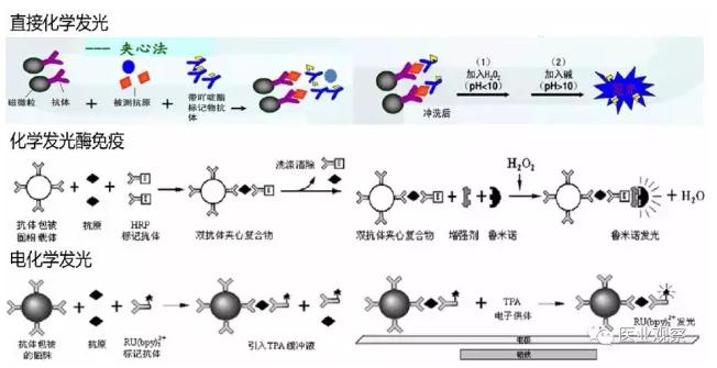 按标记物分类的三种化学发光方法的原理