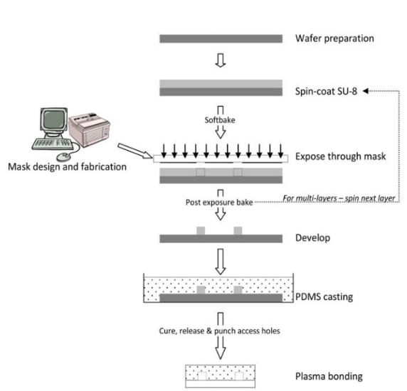 基于SU-8光刻胶的PDMS倒模加工技术(PDMS-玻璃) 基于SU-8光刻胶的PDMS倒模加工技术(PDMS-玻璃)