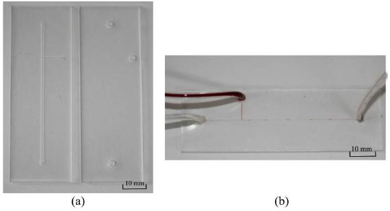 二氧化碳激光器加工完成的微流控芯片（PMMA材质，液滴产生器）