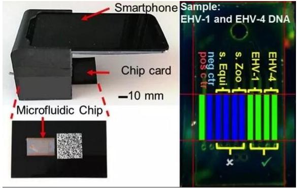 微流控芯片实验室平台：可快速检测多种传染病病原体