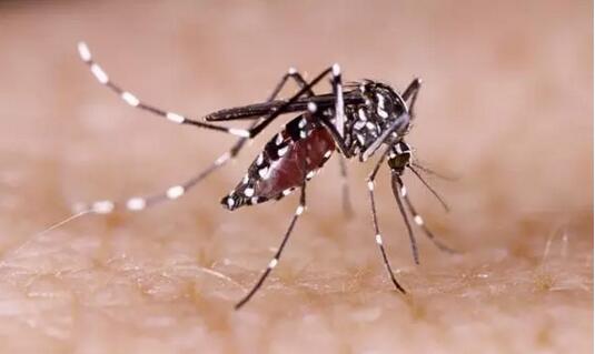 可快速检测多种传染病病原体