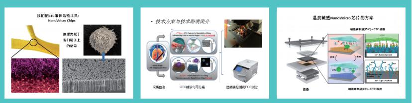 微流控芯片CTC液体活检技术 微流控芯片CTC液体活检技术