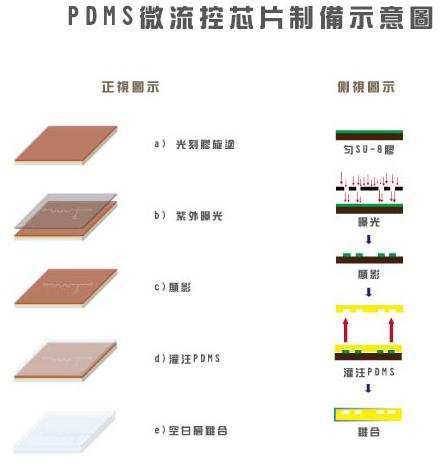 PDMS芯片微结构制备工艺