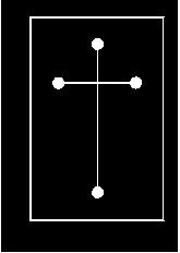 微流控玻璃电泳芯片