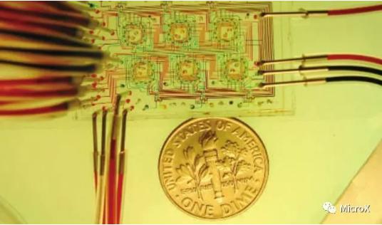 培养微生物的微恒化器