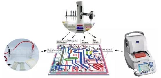 PCR反应，DNA电泳在芯片上的整合