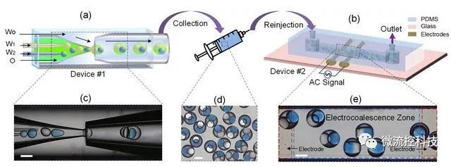 哈工大在微流控纳升级微反应器研究领域取得新进展 哈工大在微流控纳升级微反应器研究领域取得新进展