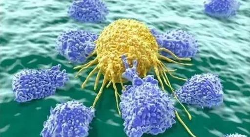 微流控芯片在循环肿瘤细胞中的应用