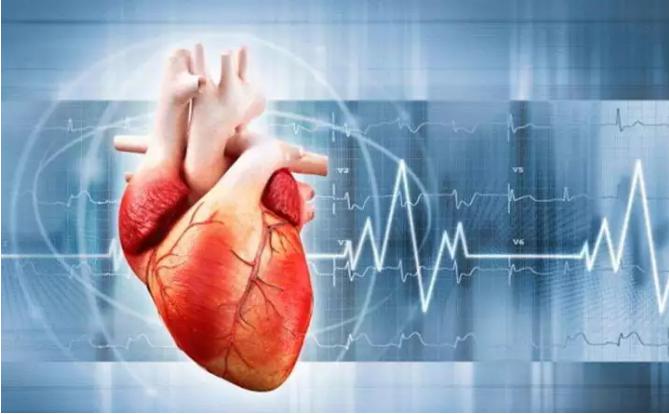 3D打印在心血管构建方面的应用