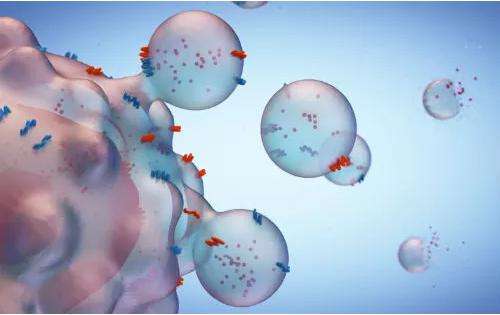基于外泌体与蛋白质组学的液体活检技术，新产品助力癌症诊断