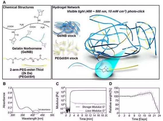 200ul微量管为基础的微流控装置 200ul微量管为基础的微流控装置
