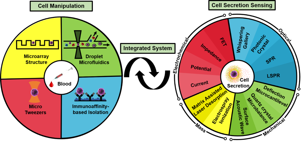 基于微流体系统的单细胞生物检测技术 基于微流体系统的单细胞生物检测技术