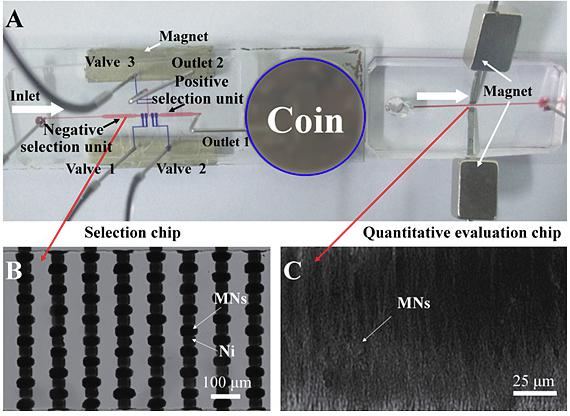 多功能微流控筛选平台用于核酸适配体高效筛选