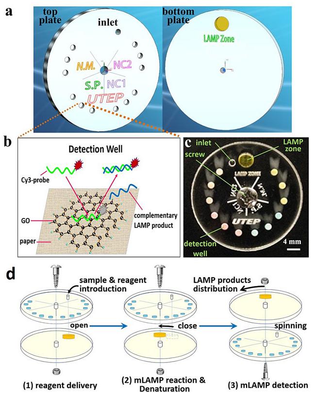 小小可旋转CD生物芯片实现多种传染性疾病的及时定量诊断