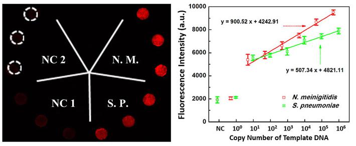 微流控生物芯片在医疗诊断应用
