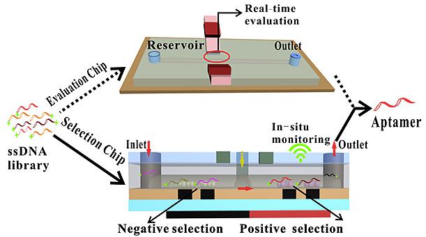 多功能微流控筛选平台用于核酸适配体高效筛选