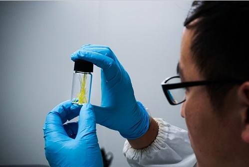 复旦大学俞燕蕾团队研发出全新概念的光控微流体新技术