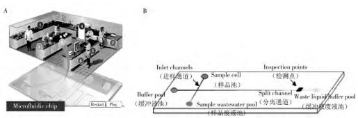 图 1 微流控芯片的主要功能(A)及常见微流控芯片通道结构(B)
