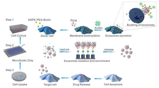 三维纳米结构微流控芯片