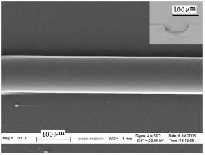 图5 PDMS微凹槽的SEM 照片与截面的显微照片