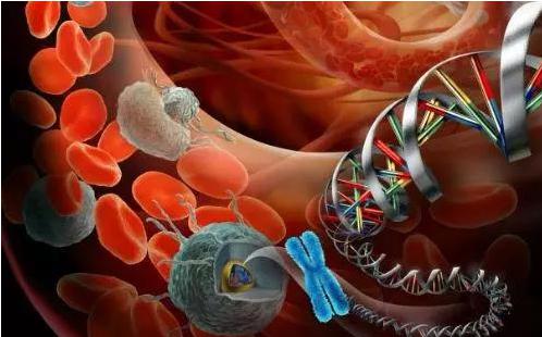 循环肿瘤细胞（CTC）在精准医疗领域的应用