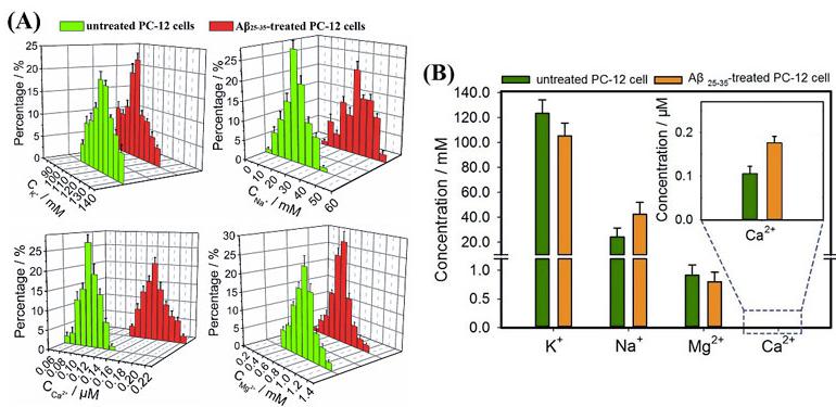 图3. （A）Aβ25-35刺激前后Na+、K+、Ca2+、Mg2+浓度变化的正态分布图；（B）Aβ25-35刺激前后Na+、K+、Ca2+、Mg2+浓度变化的柱状图