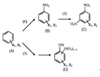图3&nbsp;主反应和副反应步骤
